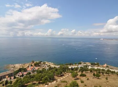 Rnet - Centre * Roses